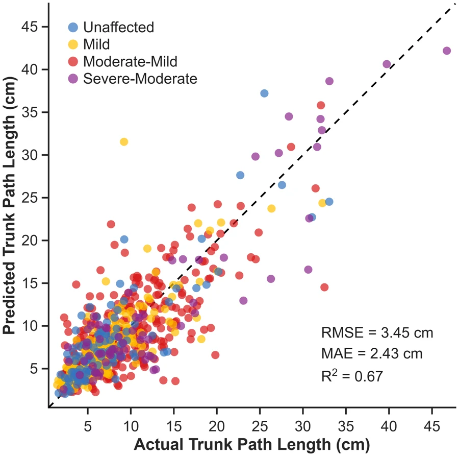 Scatter plot of trunk path length predicted from wrist-worn sensors versus actual trunk path length, colored by impairment level