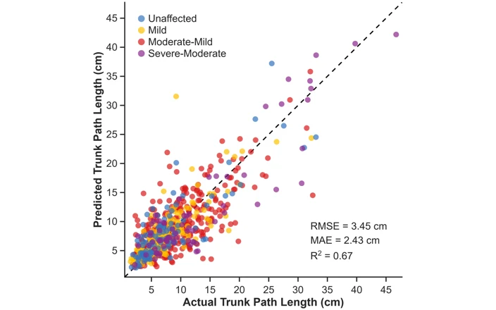 Scatter plot of predicted versus actual trunk path length